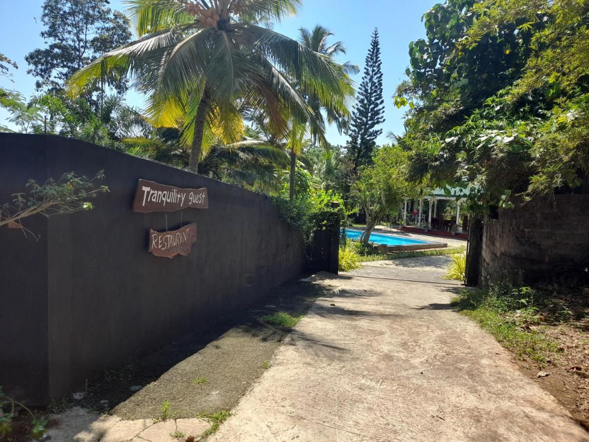 Tranquility Guest House Hikkaduwa Dış mekan fotoğraf