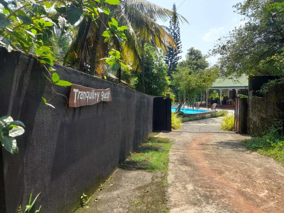 Tranquility Guest House Hikkaduwa Dış mekan fotoğraf