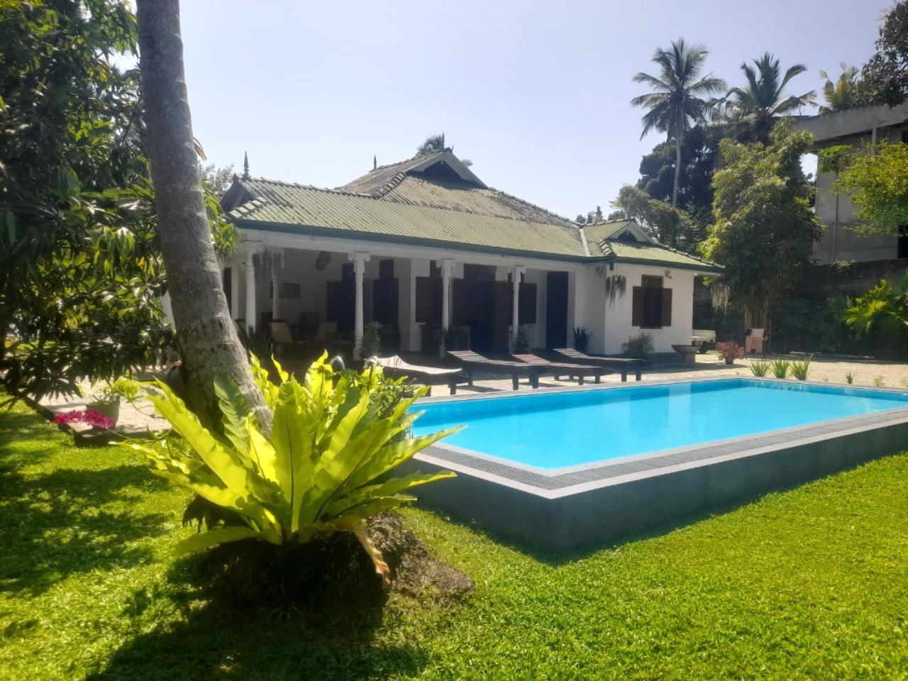 Tranquility Guest House Hikkaduwa Dış mekan fotoğraf