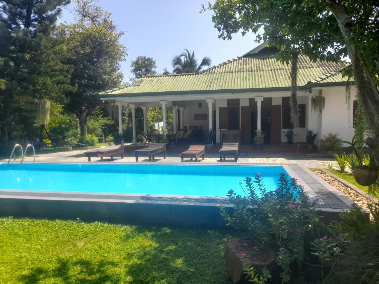 Tranquility Guest House Hikkaduwa Dış mekan fotoğraf