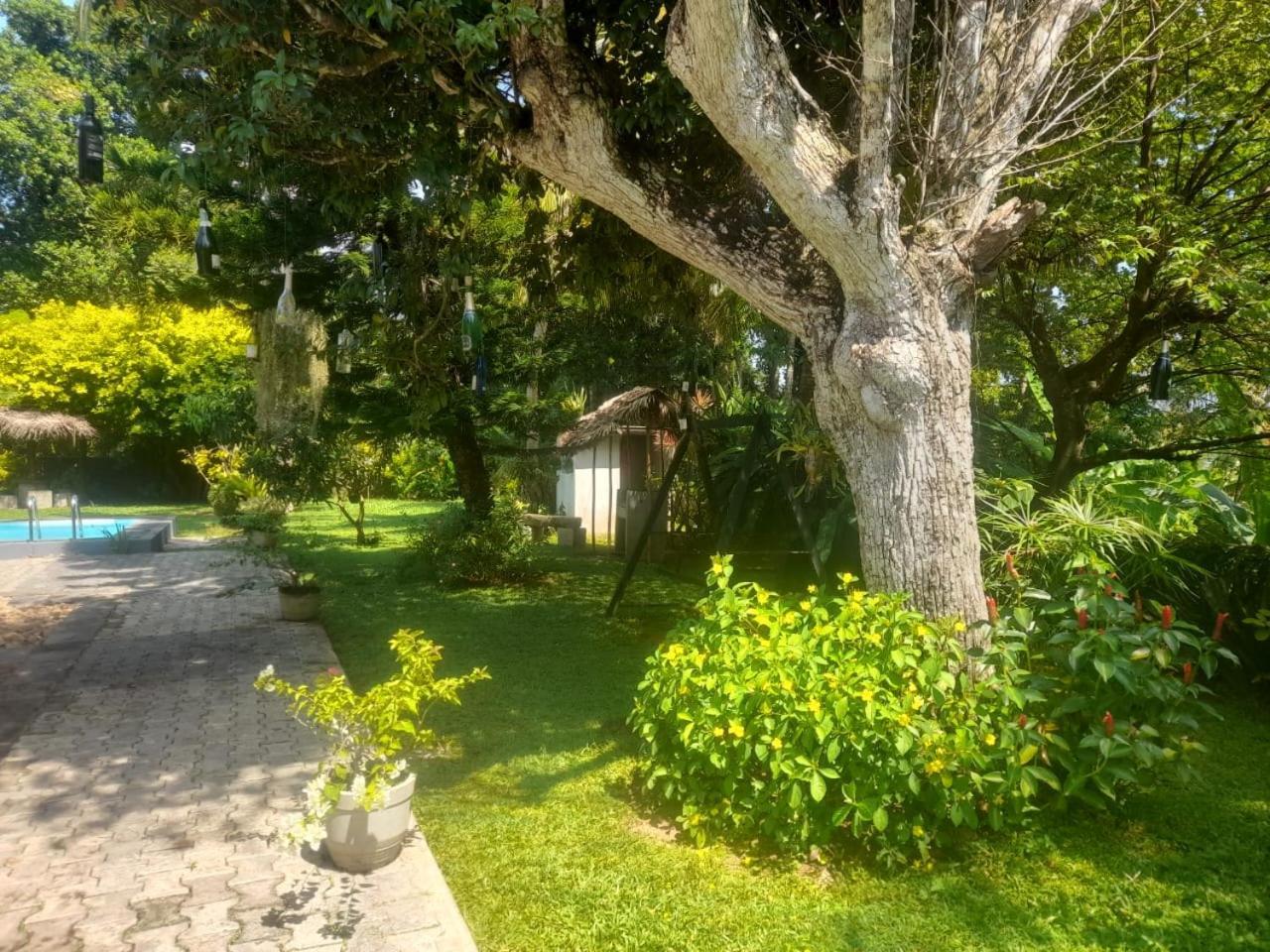 Tranquility Guest House Hikkaduwa Dış mekan fotoğraf
