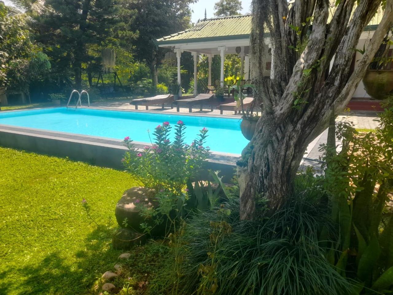 Tranquility Guest House Hikkaduwa Dış mekan fotoğraf