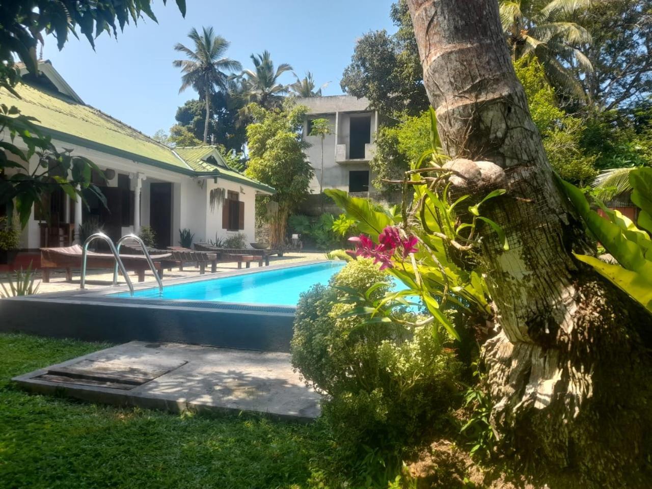 Tranquility Guest House Hikkaduwa Dış mekan fotoğraf