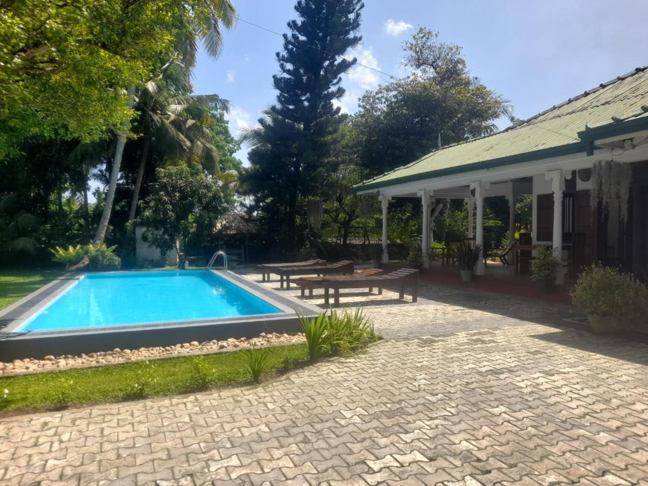 Tranquility Guest House Hikkaduwa Dış mekan fotoğraf