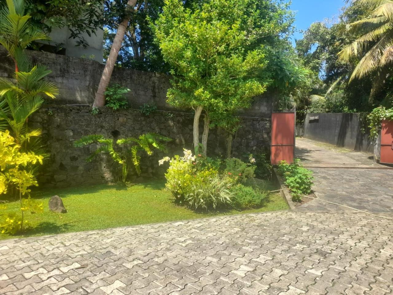 Tranquility Guest House Hikkaduwa Dış mekan fotoğraf