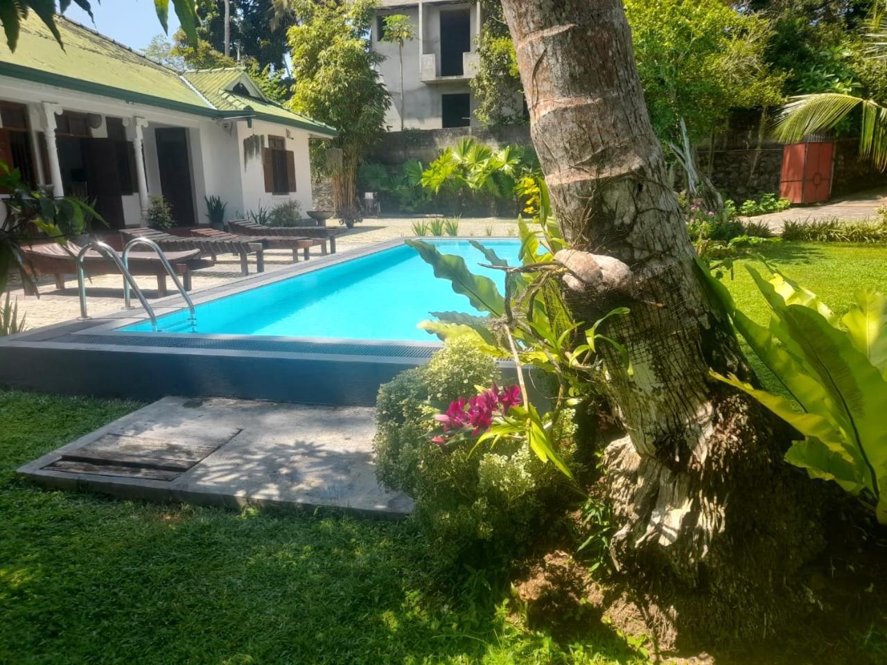 Tranquility Guest House Hikkaduwa Dış mekan fotoğraf