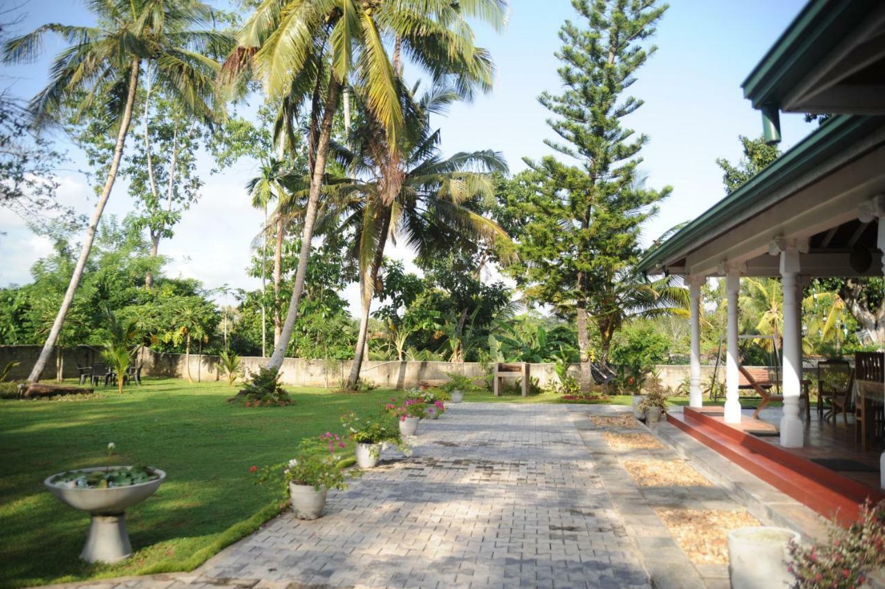Tranquility Guest House Hikkaduwa Dış mekan fotoğraf